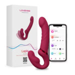 lovense vibrator